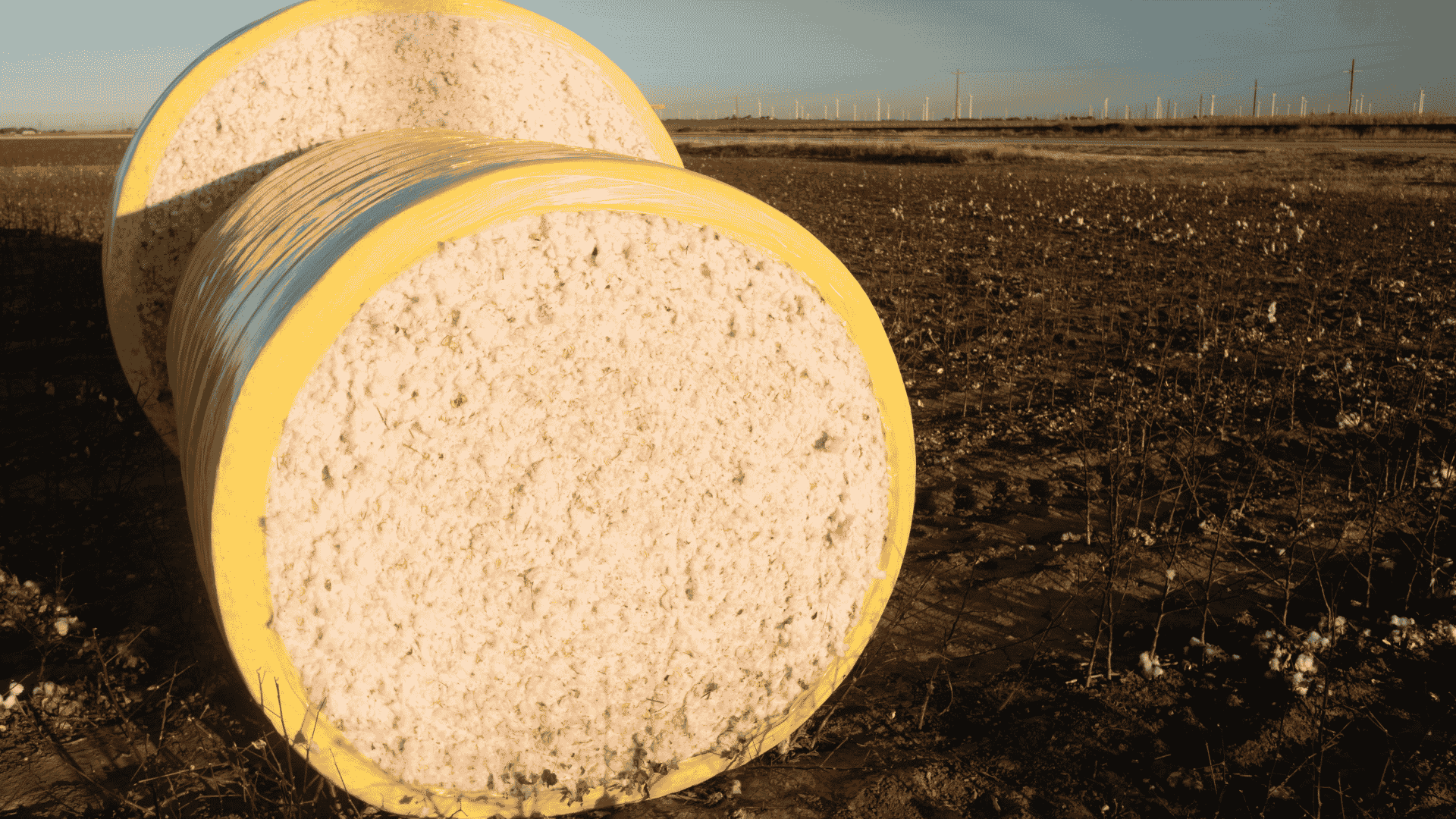 Cotton Bales QCO 2023 Revoked: What It Means for the Industry
